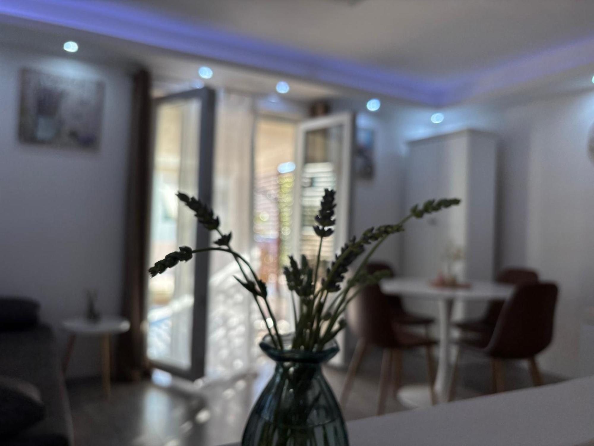 Luxury Apartman Nr Sibenik Bagian luar foto